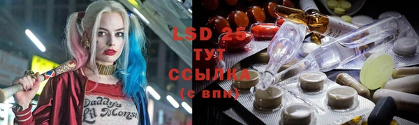 ПСИЛОЦИБИНОВЫЕ ГРИБЫ Ряжск