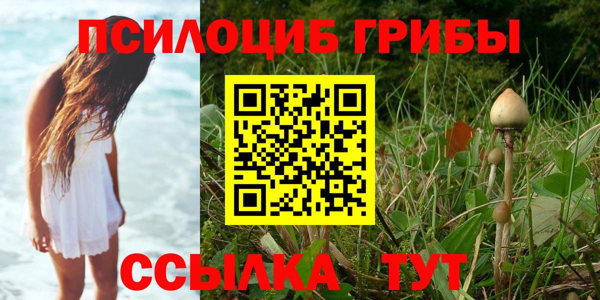Псилоцибиновые грибы Psilocybine cubensis  продажа наркотиков  Елец  Галлюциногенные грибы мухоморы  Вход с VPN 